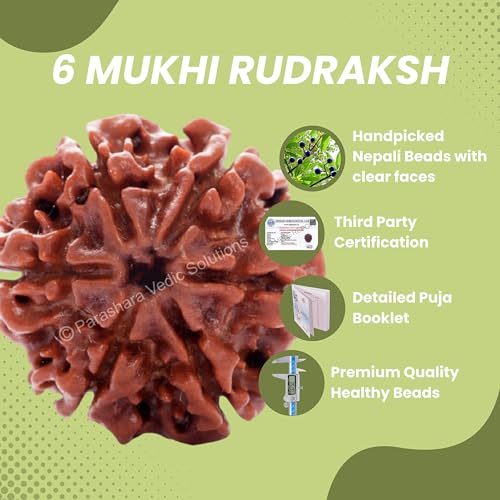ARKAM Six Mukhi Rudraksha Certified/Original Nepali 6 Mukhi Rudraksh/Natural 6 Faced Rudraksha (Brown) with Certificate and Puja Instructions - Image 4