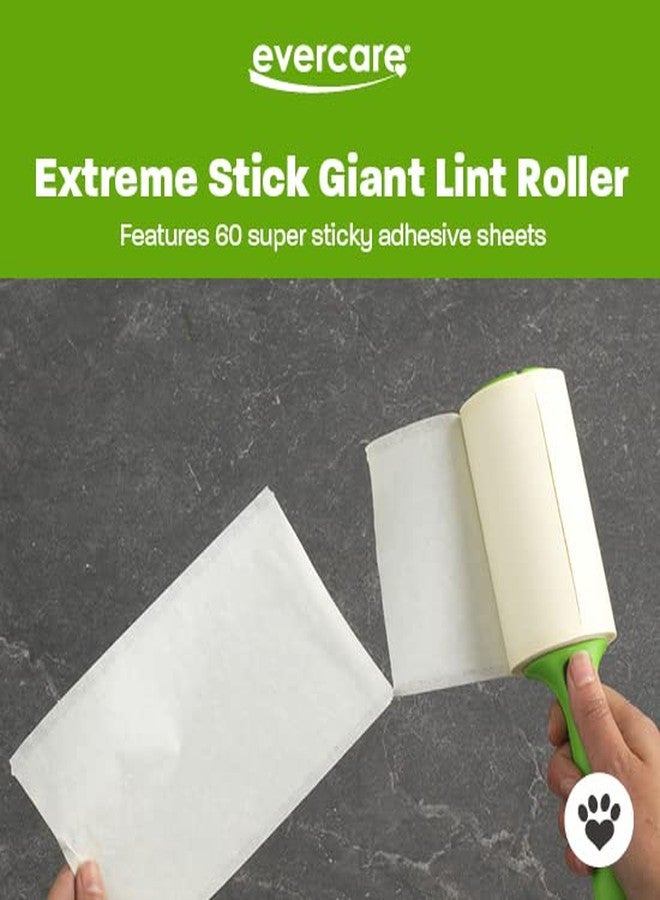 Evercare Pack of 5 Pet Extreme Stick Giant Refillable Lint Roller, 60 Sheets - Image 3