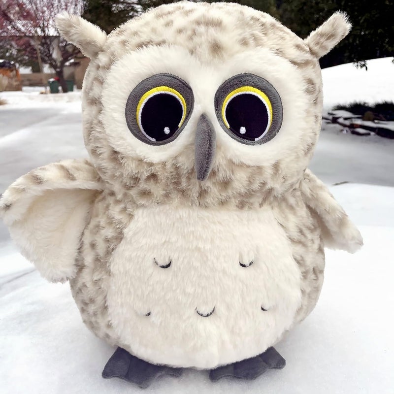 Ryttir 15.7 Inch Chubby Snowy Owl Stuffed Animal, Adventure Stuffed Owl Plush Toy, Brave Boy's and Girl's Room Decor, Funny Gift for Kids and Women - Image 1