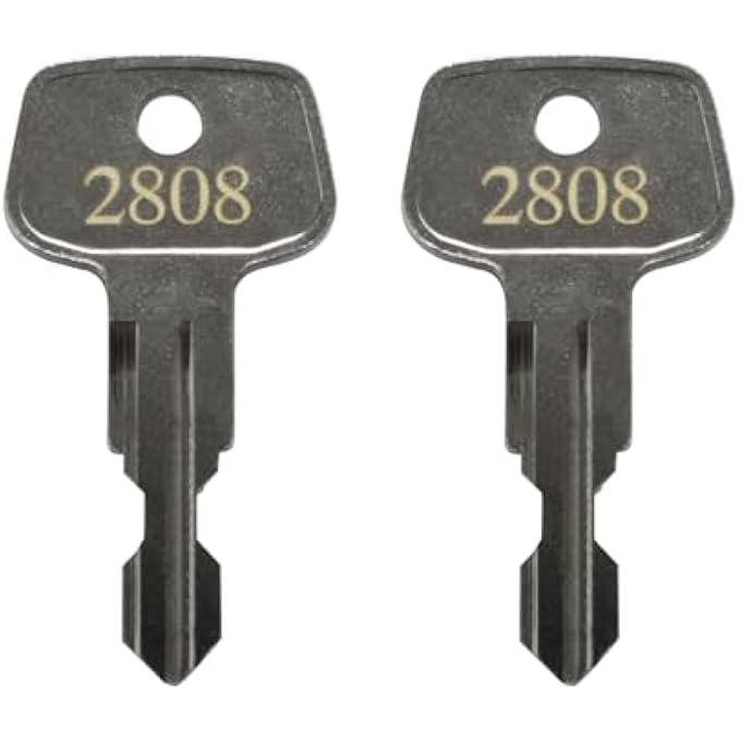 rayihni 2808 X-Cargo Luggage Roof Replacement Keys,Replacement Keys for X-Cargo roof Racks,X-Cargo Roof Rack Key Karrite Ski Bike xcargo Carrier Skyline Sportrack XL[2 Pack] - Image 1