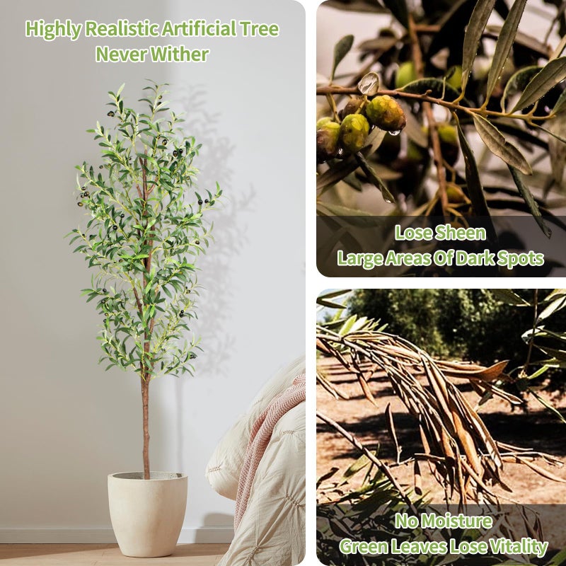 CETRD Artificial Olive Tree, 6FT Tall Faux Olive Trees 72in Outdoor Fake Potted Silk Plant with Trunk and Realistic 648 Leaves and 24 Fruits for Modern Office Home Decor Indoorï¼ˆ1packï¼‰ - Image 3