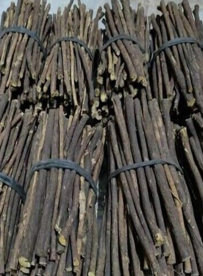 RBLISS CG Natural Zaitoon Miswak Olive Herbal Miswak Toothbrush | Eco Friendly Chewing Sticks |FOR Healthy Teeth Toothbrush| Black Olive Miswak - Zaytoon (Pack of 100) - Image 2