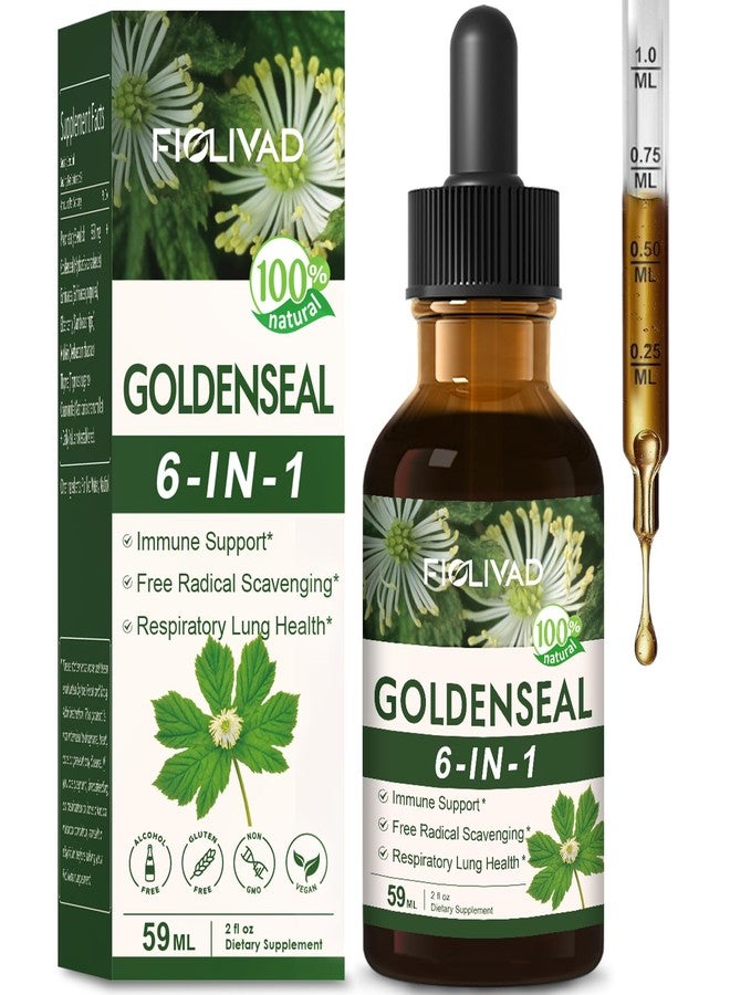 FIOLIVAD قطرات سائلة من مستخلص جذر خاتم الذهب من فيوليفاد، تركيبة 6 في 1 لدعم صحة الجهاز المناعي والتنفسي، مكمل غذائي من خاتم الذهب مع إشنسا خاتم الذهب، مولين، زعتر. امتصاص سريع. 2 أونصة - Image 1