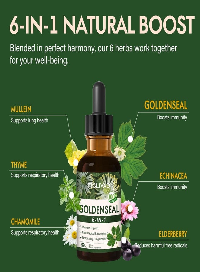 FIOLIVAD قطرات سائلة من مستخلص جذر خاتم الذهب من فيوليفاد، تركيبة 6 في 1 لدعم صحة الجهاز المناعي والتنفسي، مكمل غذائي من خاتم الذهب مع إشنسا خاتم الذهب، مولين، زعتر. امتصاص سريع. 2 أونصة - Image 3