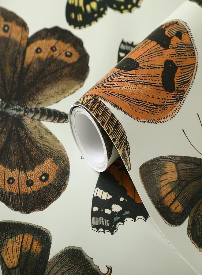 Affrolling Vintage Butterfly Peel and Stick Wallpaper 15.75"x118" Vintage Butterfly Stick on Wallpaper Contact Paper Boho Vinyl Waterproof Removable Wallpaper for Cabinet Drawer Wall Decor - Image 2
