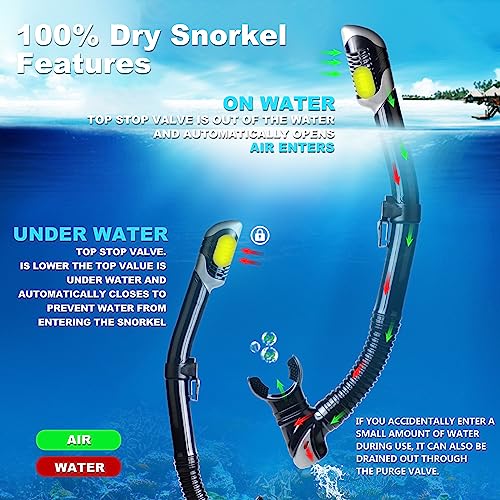 EXP VISION Snorkel Set Pano 3 Adult Snorkeling Gear, Professional Anti-Fog Snorkel Mask Dry Top Snorkel, Tempered Glass Scuba Diving Mask for Freediving, Snorkeling and Swimming(Black Set) - Image 4
