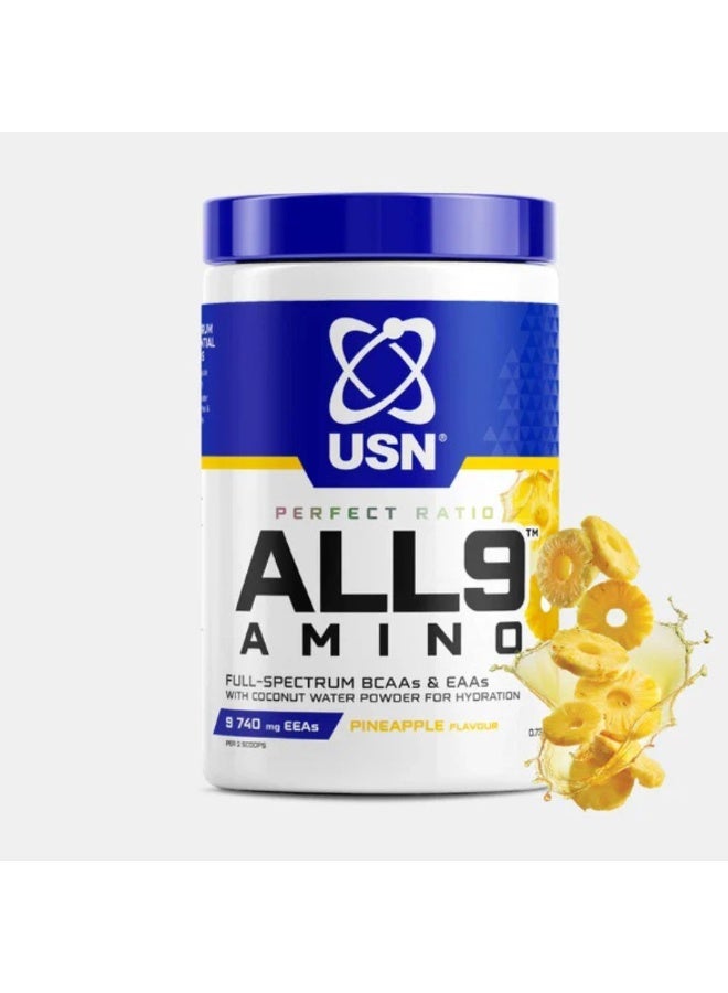USN Perfect Ratio ALL9 Amino Pineapple 330g – Full Spectrum BCAA & EAA Formula for Recovery, Hydration & Endurance (30 Servings) - Image 1