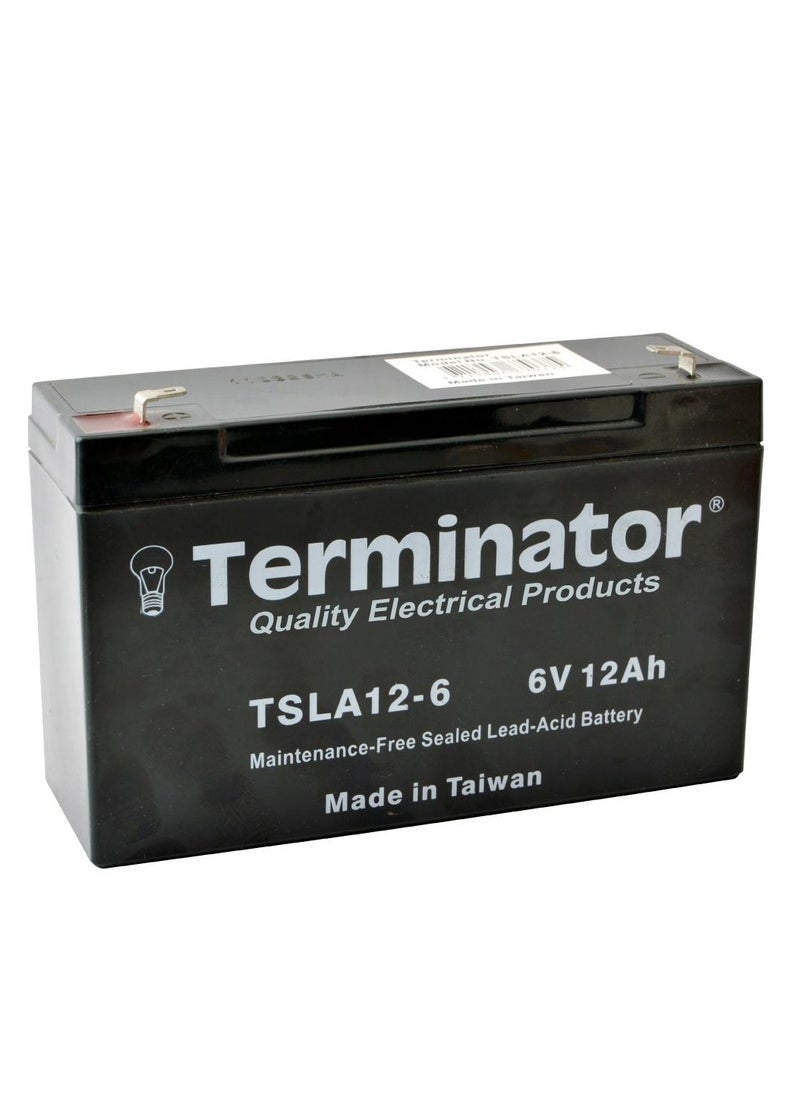 Terminator Terminator Sealed Lead Acid Battery 6V-12Ah TSLA 12-6S 