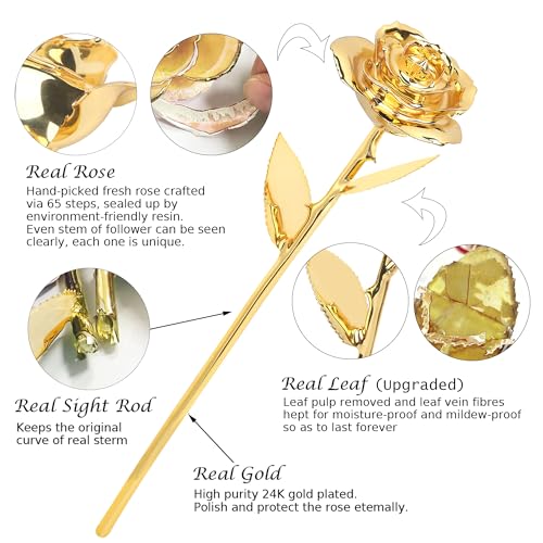 Sinvitron Gold Dipped Rose Real 24K Gold Rose, Hand Dipped One of a Kind Golden Roses, Romantic Gifts for Women on Valentines Day, Anniversary Mother’s Day (Golden) - Image 2