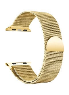 Magnetic Stainless Steel Band For Apple Watch 45/44/42/49 mm