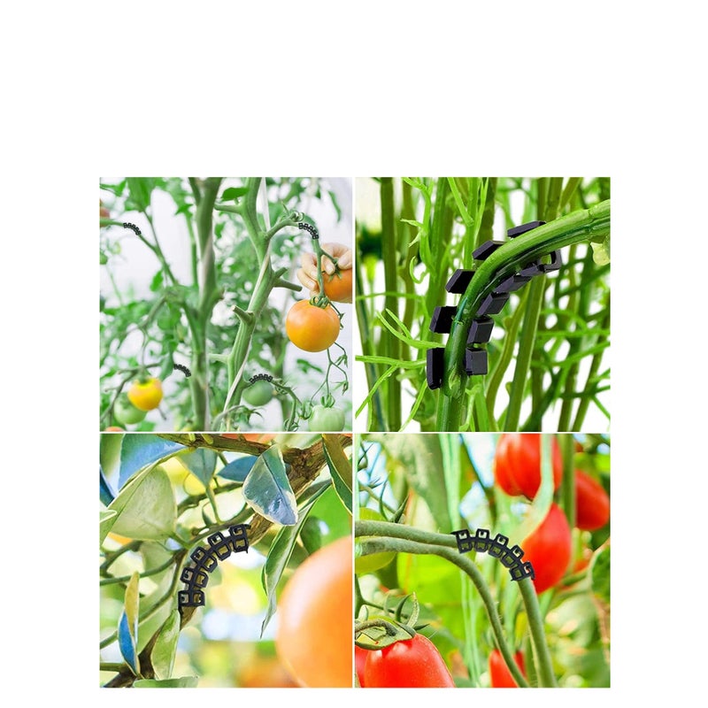 Zikra 90 Degree Plant Clips Branches Clips Control The Growth of Plants Branches Clamps for Low Stress Planting Clip (150 Pieces) - Image 3