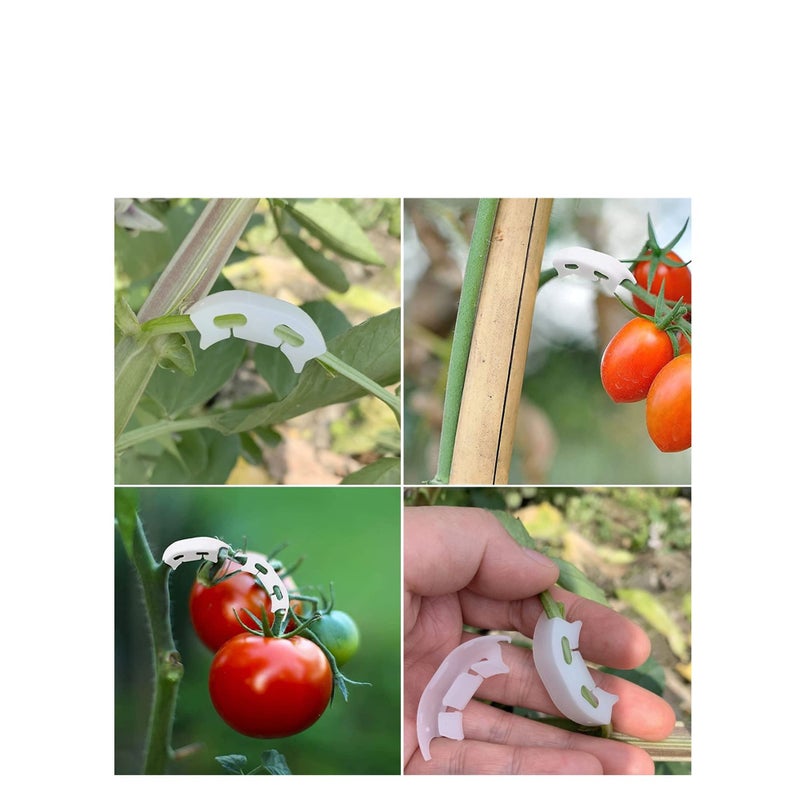 Zikra 90 Degree Plant Clips Branches Clips Control The Growth of Plants Branches Clamps for Low Stress Planting Clip (150 Pieces) - Image 5