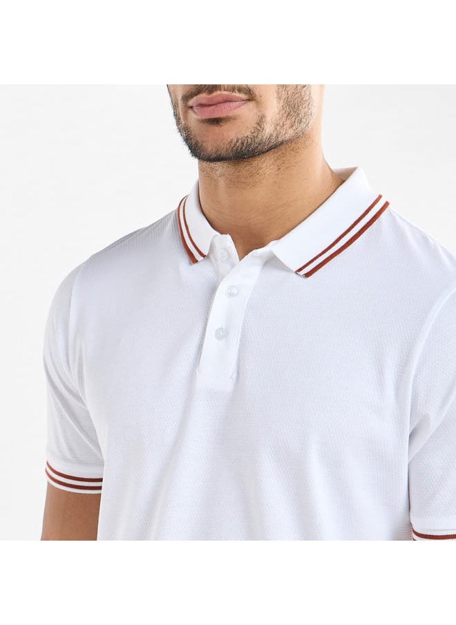 FAV Solid Polo T-shirt with Short Sleeves  - Image 4