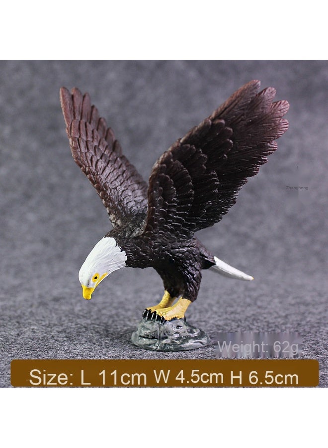 NIBEMINENT Realistic Wildlife Model - Eagle and Snowy Owl Collectible Figurines