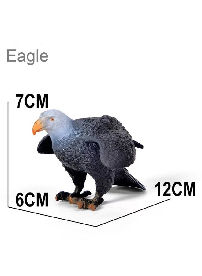 NIBEMINENT Realistic Bird Model Set