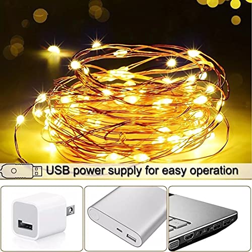 HK Balloons ​HK Balloons 10M Copper Fairy String Lights with USB Powered Led Light for Diwali Christmas Birthday Party Wedding Ceremony Bedroom and Balcony Home Decoration (10 Meters). - Image 2