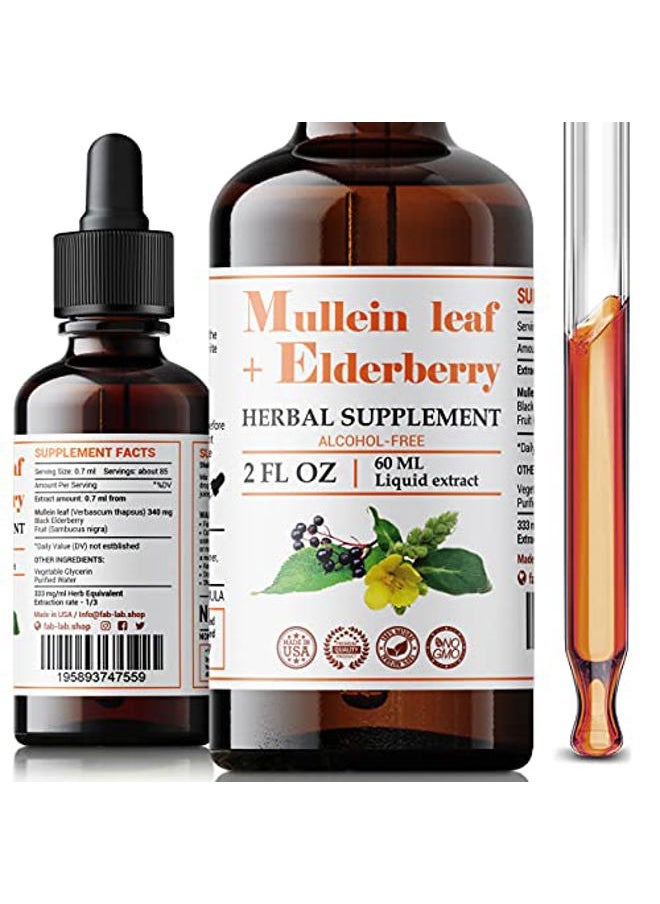 FabLab Mullein Leaf Extract with Elderberry 2 Fl Oz - Made in USA - Drops for Better Lung - Mullein Tincture for Lung Detox - Bronchial Cleanse for Smokers - Respiratory Herbal Supplement  - Image 2