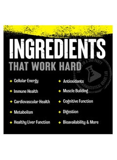 UNIVERSAL NUTRITION UN Animal Pak Ultimate Foundation Pill Packs 44 Packs Net Weight 559.5g  - Image 2