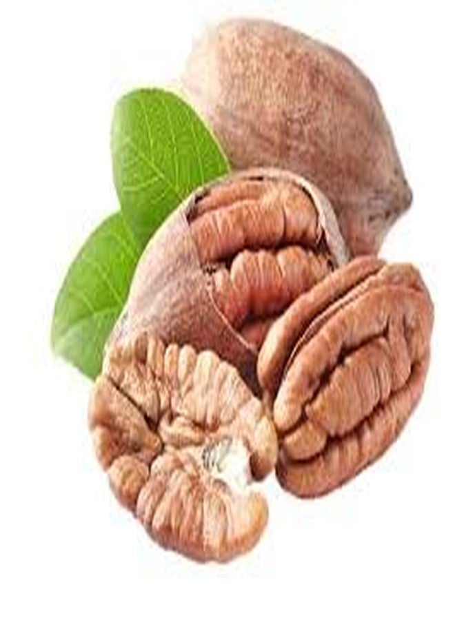 Nutzy Premium Nuts (Pecan Nuts, 400g) - Image 1
