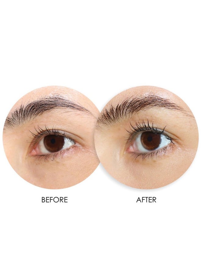 Xl Lash Volumizer For Lashes And Brows Anti Aging Serum With Peptides Conditioning Treatment For Brittle Thin Sparse Eyelashes & Brows 0.24 Oz