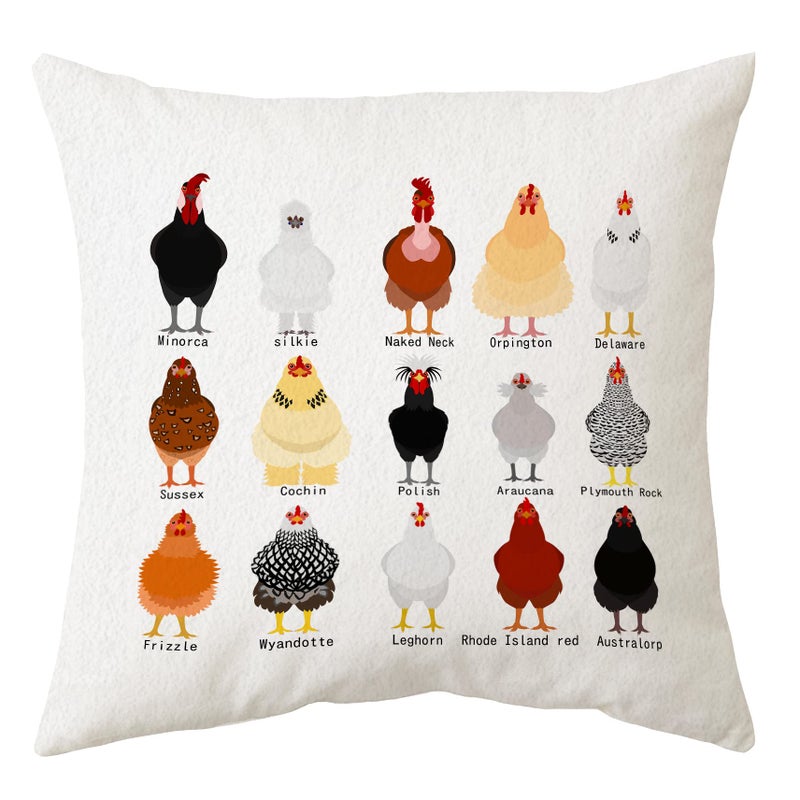 Sidhua Farmhouse Chicken Themed Pillowcase Decorations for Home Cute Educational Breeds of Chickens Chart Pillow Cover 18x18 Chicken Lover Gifts Farmer Men Women Girls Boys Gifts