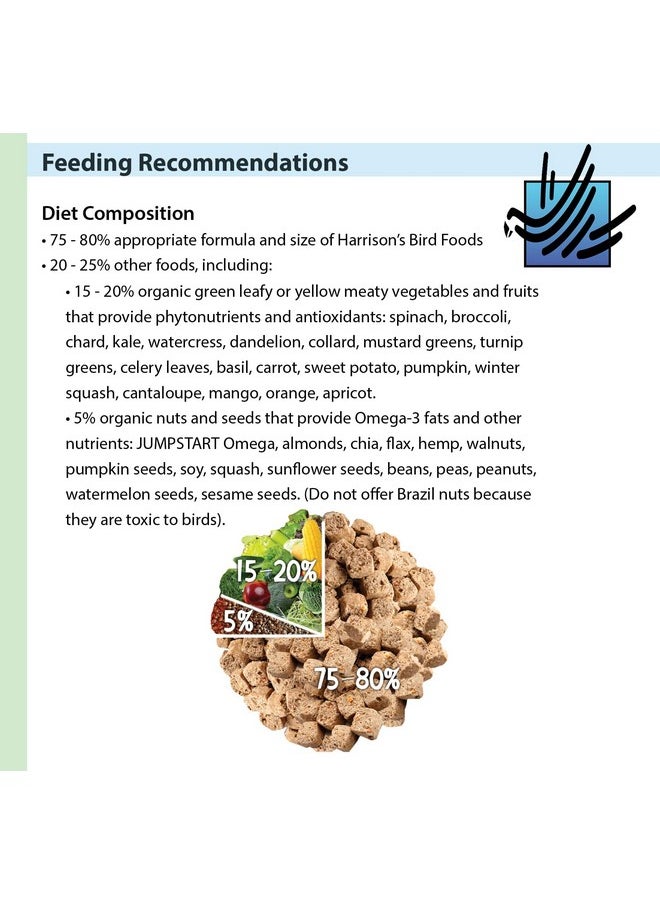 Harrison's Bird Foods Harrison's Adult Lifetime Coarse 1lb  - Image 3