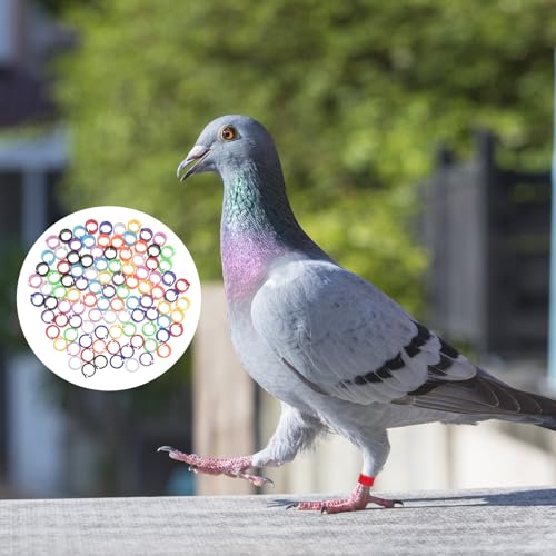FRCOLOR 300 Pcs Bird Identification Foot Rings for Pigeons Parrots Cockatiels Budgies Small Birds 031X031X018 Inch Opening Leg Bands for Easy Use and Breed Separation - Image 3