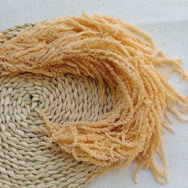 Bluejw L7 Natural Dried Amaranth Flower - 5pcs Preserved Hanging Amaranthus Caudatus, Rustic Home Wedding Decor, Dried Plants for Floral Arrangements - Image 1