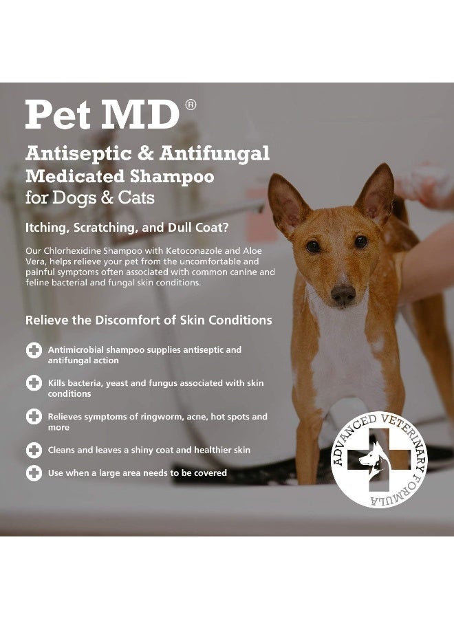 Pet MD شامبو طبي مضاد للبكتيريا والفطريات من بيت إم دي - Image 3