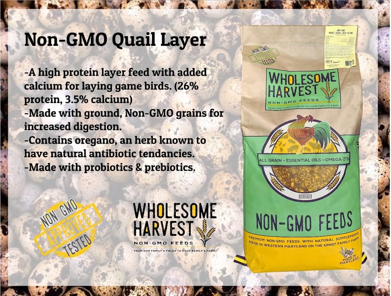 Wholesome Harvest Non-GMO Quail Layer Feed 26% - Premium 10 lb Food for Laying Birds, Button Food - Image 5