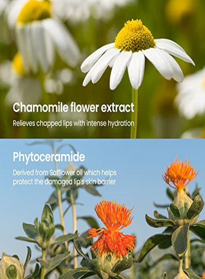 Be Plain Beplain Chamomile Intense Moisturizing Lip Balm (0.13Oz, 3.6G) | Dual Core Lip Moisturizer For Dry, Cracked, Sensitive Lips | Natural Daily Lip Care - Image 4