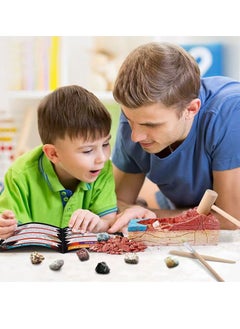M MIAOYAN Mineral Mining Kit Gem Toy Mineral Specimen Natural Mineral Rock Specimen Rock and Mineral Collection Mining Toy 12 Piece Set Children's Geology Geological Science Set  - Image 5