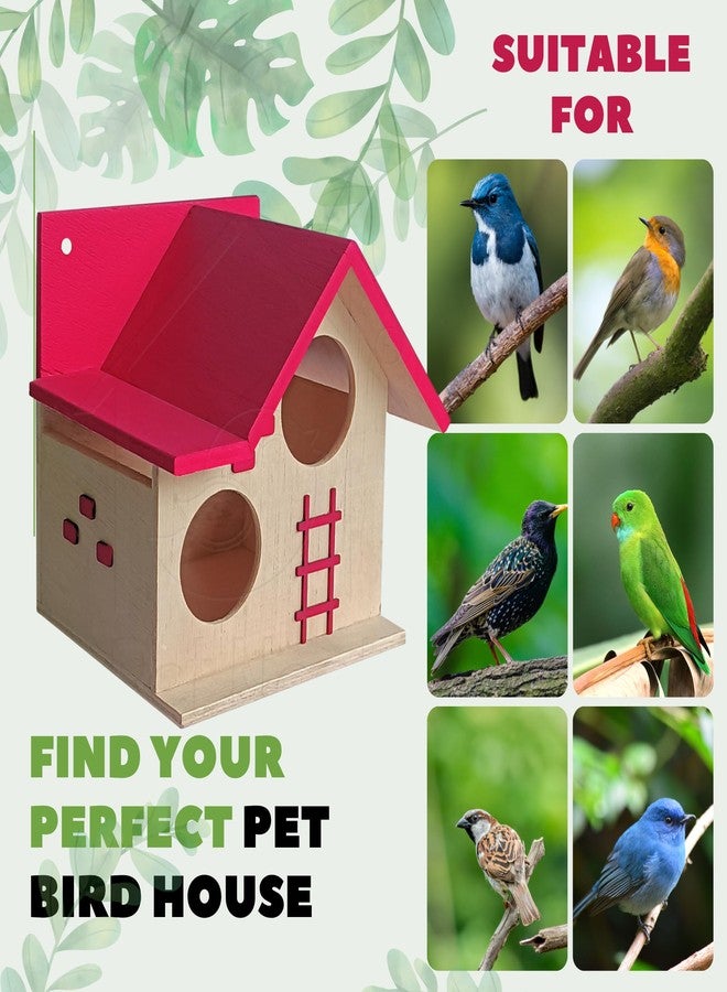 بيت طيور PetNest للشرفة والحديقة، يُعلق على الحائط، مناسب لطيور الحب، والعصافير، والطنان، والرفراف. مصنوع من الخشب الروسي، مع إمكانية التعليق والتثبيت على الحائط، لون وردي - DECO6 - Image 2