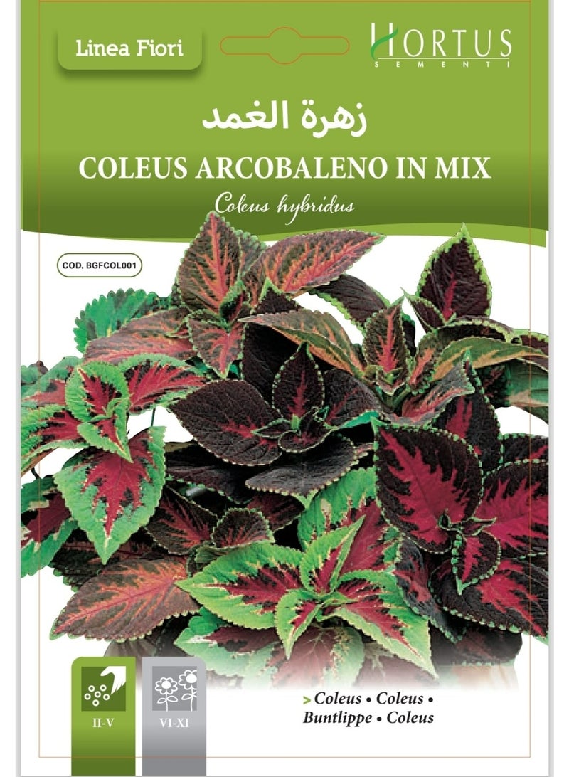 Sheath Flower Seeds