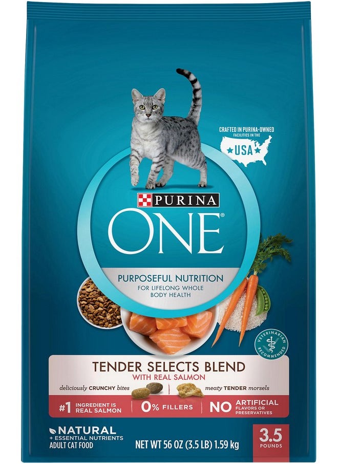 Purina ONE - Purina ONE Dry Cat Food, Tender Selects Blend With Real Salmon, 3.5 Lb - Image 1
