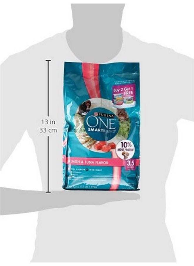 Purina ONE - Purina ONE Dry Cat Food, Tender Selects Blend With Real Salmon, 3.5 Lb - Image 1