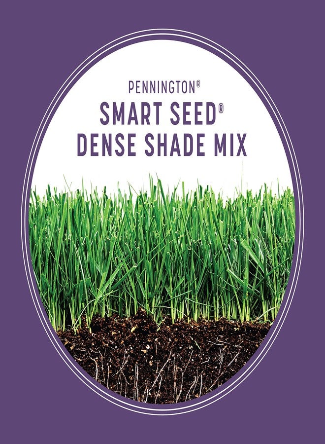 Pennington 100543703 Smart Seed Dense Shade Grass Mix Bag 7 lb, Black Label - Image 5
