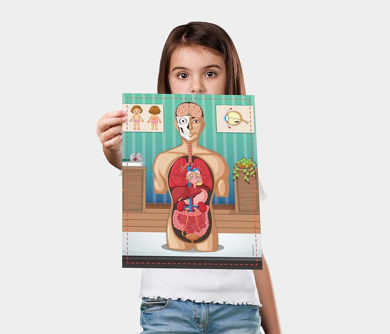 ساينس 4 يو مجموعة العلوم التعليمية STEM لجسم الإنسان من مع كتاب ��علم عن جسم الإنسان للأطفال من سن 4+ - Image 5