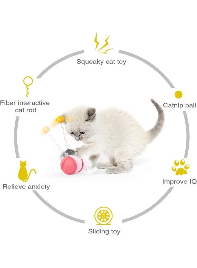 ECVV Interactive Cat Chasing Toys Kitten Excercise Toy With Catnip Squeaky Ball (Assorted) - Image 4