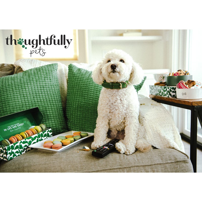 Thoughtfully Pets, Gourmet Dog Cookie Gift Set, Peanut Butter Flavored Crunchy Dog Treats in Bone Shape with Easter Spring Designs, Set of 8 - Image 5