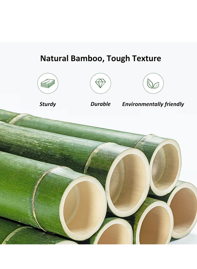 Entryway Shoe Cabinet, 5 Tiers Bamboo Shoe Cabinet with Clear Doors, Freestanding Shoe Storage Organizer for Hallway, Living Room - Image 3