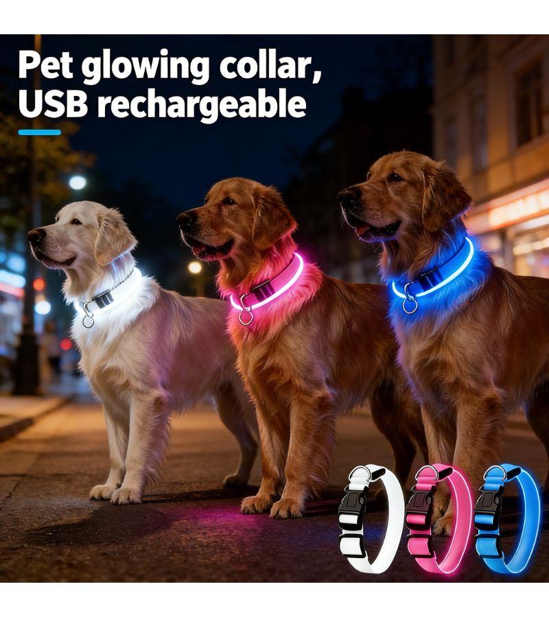 Rechargeable LED Dog Collar Light White USB 3 Modes Soft ABS for Medium Large Dogs Night Walks - Image 1