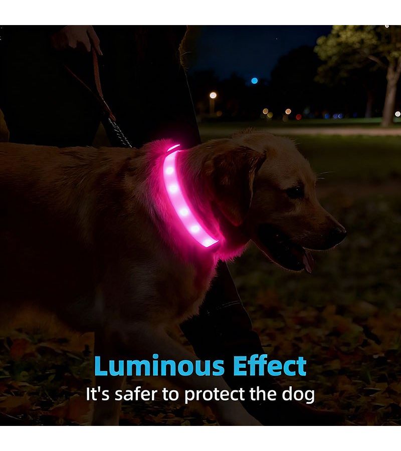 Rechargeable LED Dog Collar Light White USB 3 Modes Soft ABS for Medium Large Dogs Night Walks - Image 5