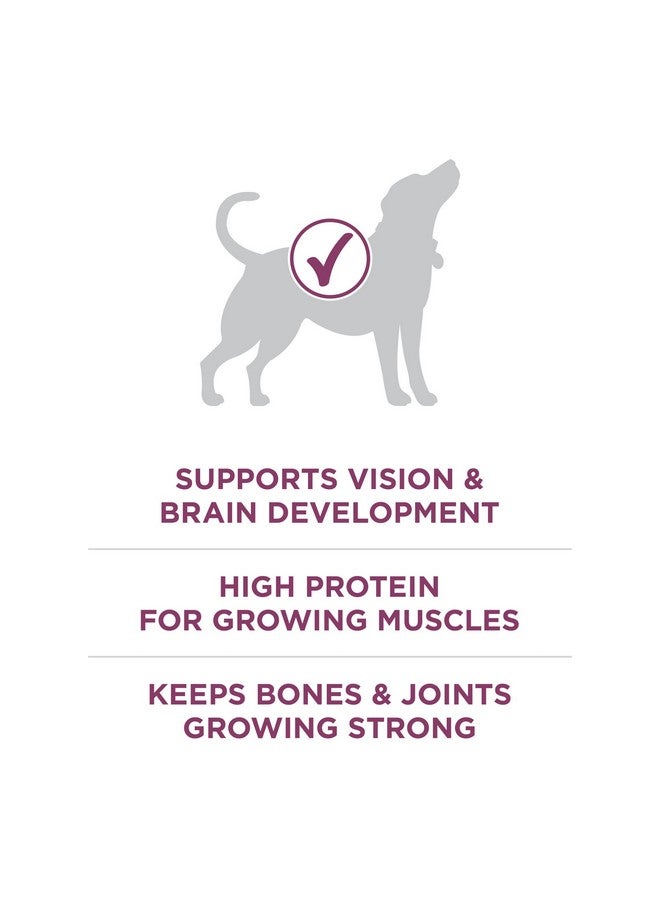 Purina ONE Purina ONE Plus Healthy Puppy Formula High Protein Natural Dry Puppy Food with added vitamins, minerals and nutrients - 8 lb. Bag - Image 5