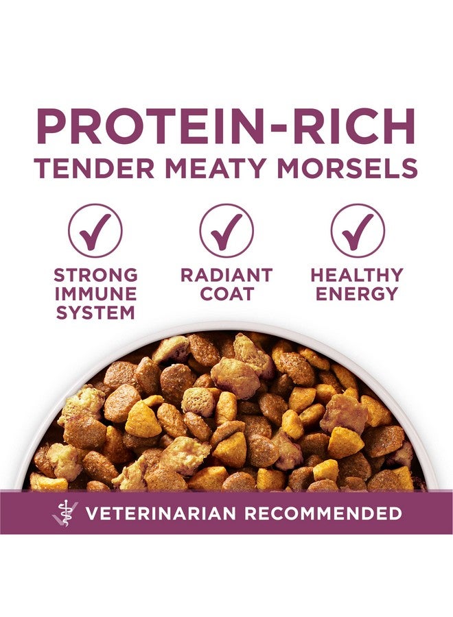 Purina ONE Purina ONE Plus Healthy Puppy Formula High Protein Natural Dry Puppy Food with added vitamins, minerals and nutrients - 8 lb. Bag - Image 2
