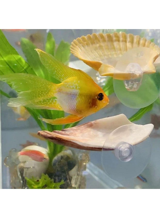 Oncpcare 2 Pack Betta Fish Resting Spot House Shell Bed Toys for Aquarium Small Fish Hide Decoration Natural Habitat Spawning Grounds for Betta Shrimp Cichlid Breeding - Image 4
