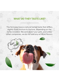 Secrets of the Tribe Wolf's Joints | Natural Herbal Dietary Supplement for Dogs | Healthy Joints Support in Dogs | Alcohol-Free Extract, Dandelion Root, Calendula, Chamomile, Lavender, Fennel 2 oz  - Image 4