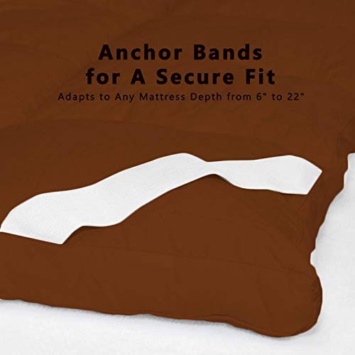 RRC Cotton Super Soft 700 GSM Hollow Fiber Filled Mattress Padding/Topper for Comfortable Sleep, 4 Corner Elastic Band King Size 72X78(Inches) 6X6.5(Feet) Mattress Topper, Brown - Image 4