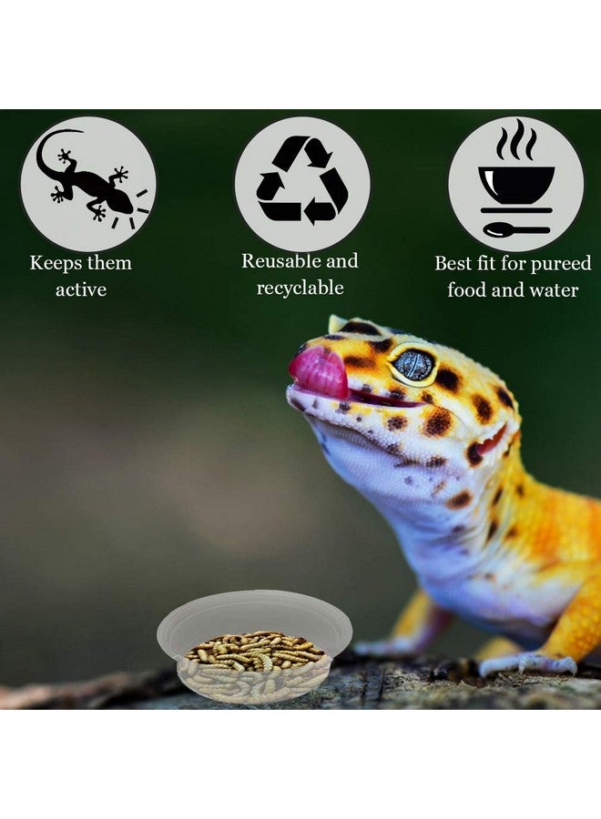 SunGrow Reusable Gecko Food & Water Cups, 50 Pcs, 0.5 Oz Recyclable Plastic Bowls, Fits Small Stands & Feeders, Durable & Easy To Clean, Ideal For Reptiles  In Resealable Bag - Image 3