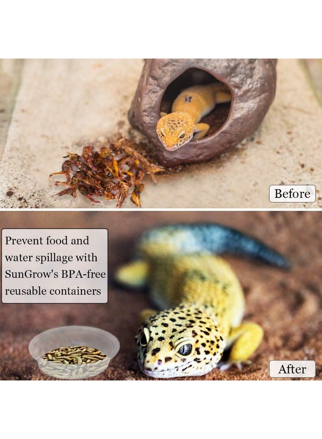 SunGrow Reusable Gecko Food & Water Cups, 50 Pcs, 0.5 Oz Recyclable Plastic Bowls, Fits Small Stands & Feeders, Durable & Easy To Clean, Ideal For Reptiles  In Resealable Bag - Image 4